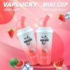 Vaplucky Mini Cup Watermelon Ice (8000 Puffs)