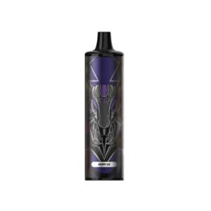 KK Energy – Grape Ice (8000 Puffs)