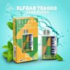 ELF BAR TE6000 – Cool Mint (6000 Puffs)