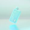 Elf Bar BC10000 Miami Mint