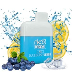 Naked 100 Vape – Blueberry Lemon Ice (4500 Puffs)