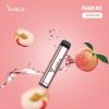 Yuoto XXL Peach Ice (2500 Puffs)