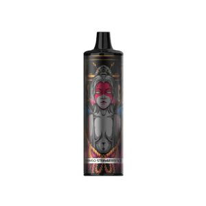 KK Energy – Mango Strawberry Ice (8000 Puffs)