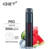 IGET PRO – Lush Ice (5000 Puffs)