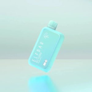 Elf Bar BC10000 Miami Mint