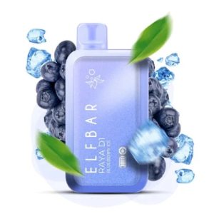 Elfbar Raya D1 Blueberry Mint (13000 Puffs)