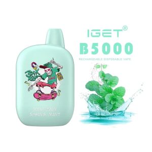 IGET B5000 – Mountain Sprint Mint (5000 Puffs)
