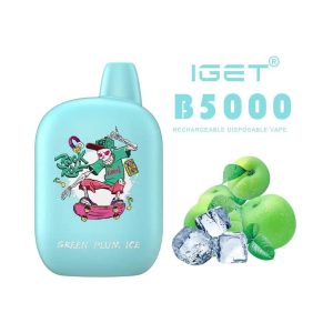 IGET B5000 – Green Plum Ice (5000 Puffs)