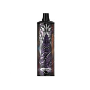 KK Energy – Cool Mint (8000 Puffs)